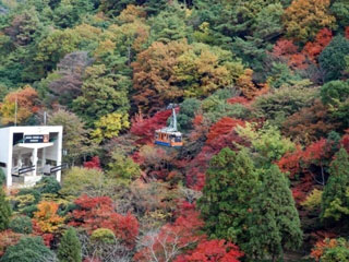 六甲山の写真2