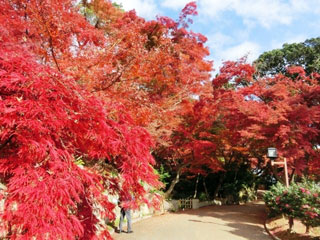 神戸市立須磨離宮公園の写真1