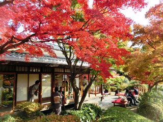 神戸市立須磨離宮公園の写真3