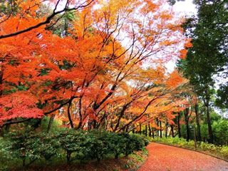 神戸市立須磨離宮公園の写真4