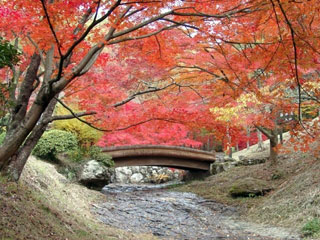 東山公園の写真1