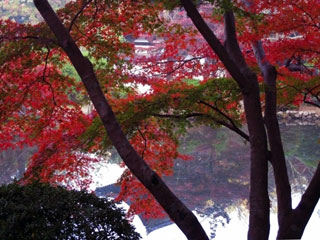 長岳寺の写真2