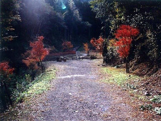 大滝川森林公園の写真2