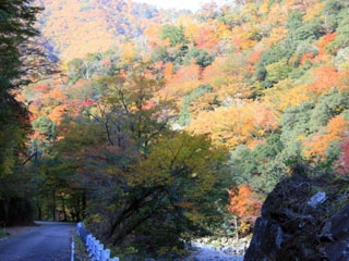 匹見峡の写真2