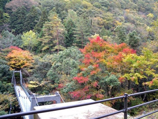 匹見峡の写真3