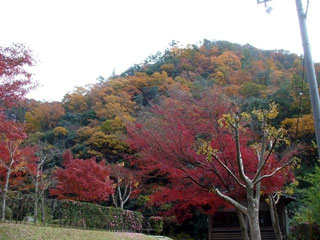 深山峡の写真1