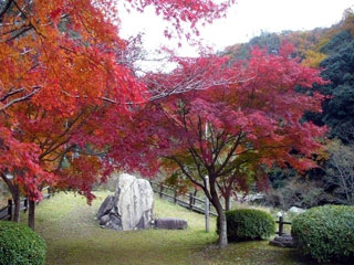 深山峡の写真2