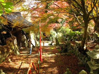 華山神上寺の写真1