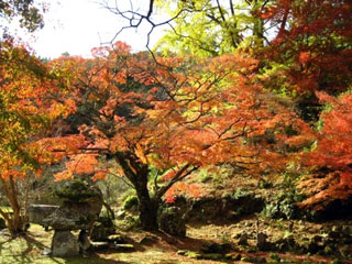 華山神上寺の写真2