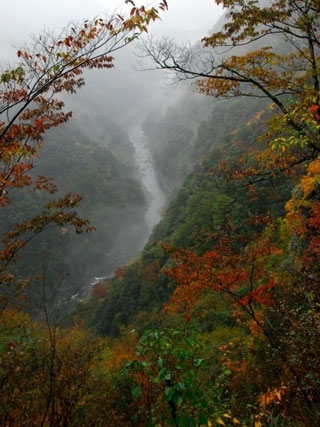 祖谷渓の写真2