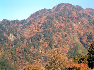 別子ラインの写真2