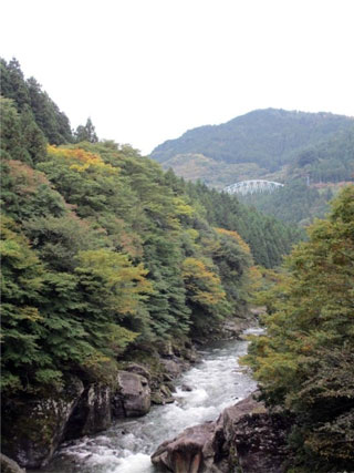 富郷渓谷の写真1