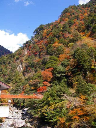 安居渓谷の写真3