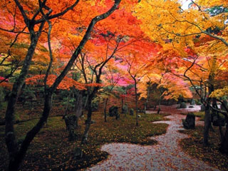 光明禅寺の写真1