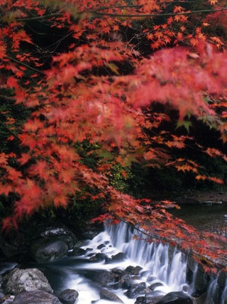 轟峡の写真1
