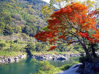 球磨川の写真1
