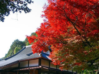 球磨川の写真3