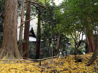文殊仙寺の写真1