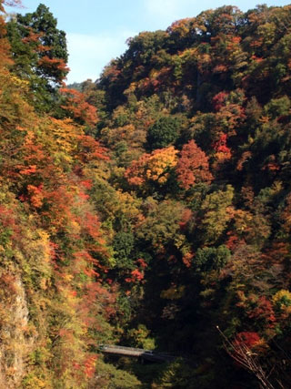 九酔渓の写真2