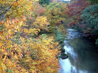 五ヶ瀬渓谷の紅葉写真１