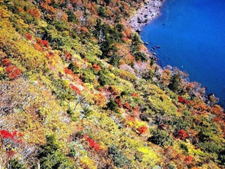 県道1号(小林えびの高原牧園線)の写真1