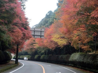 県道1号(小林えびの高原牧園線)の写真2