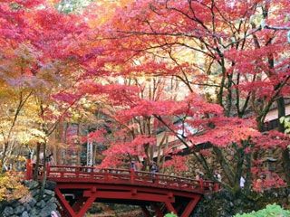 横蔵寺の紅葉写真１