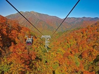谷川岳・天神平の紅葉写真１