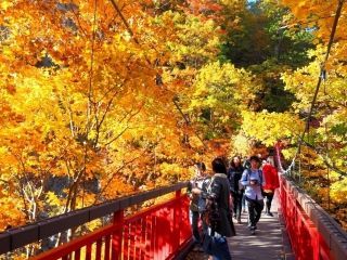 定山渓の紅葉の写真４