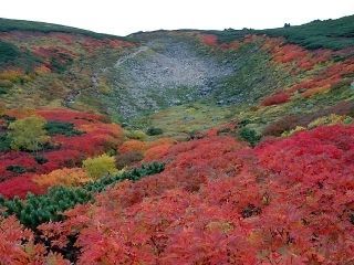 大雪山国立公園の紅葉写真２