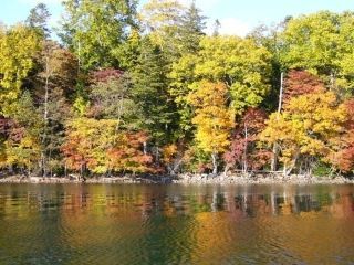 屈斜路湖畔の紅葉の写真３