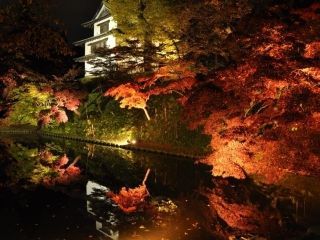 弘前公園の紅葉写真１