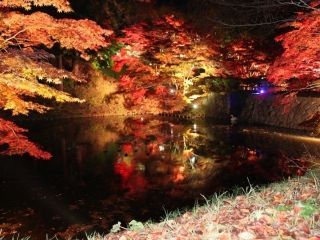弘前公園の紅葉の写真４