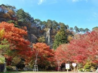 きみまち阪県立自然公園の紅葉の写真３