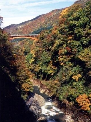 小安峡の紅葉の写真３