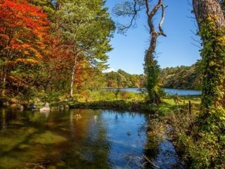 五色沼湖沼群の紅葉の写真３