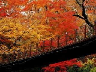花貫渓谷の紅葉写真１