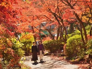 筑波山の紅葉写真１