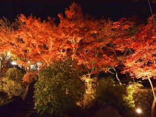 筑波山の紅葉の写真３