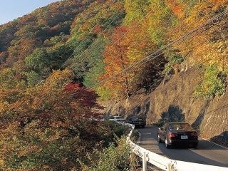 瀬戸合峡の紅葉の写真３