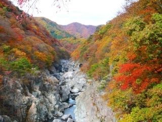 龍王峡の紅葉の写真４
