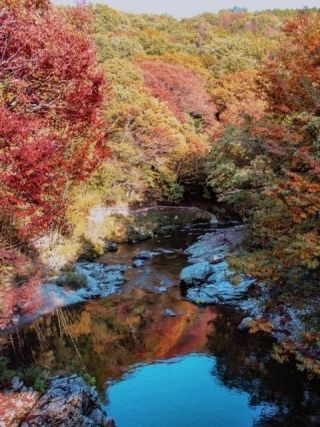 嵐山渓谷の紅葉写真１