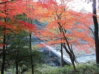 嵐山渓谷の紅葉の写真３