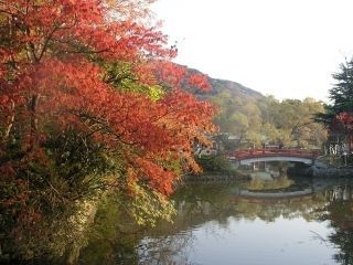 鶴岡八幡宮の紅葉写真１