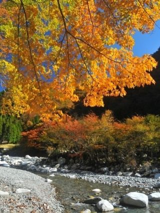 中川温泉の紅葉写真１