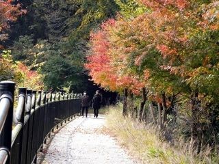 中川温泉の紅葉の写真３