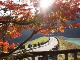 丹沢湖の紅葉の写真３