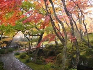 箱根美術館の紅葉写真１
