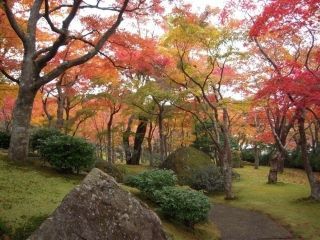 箱根美術館の紅葉写真２