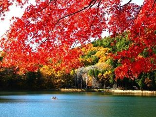 四尾連湖の紅葉写真１